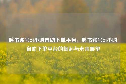 脸书账号24小时自助下单平台，脸书账号24小时自助下单平台的崛起与未来展望