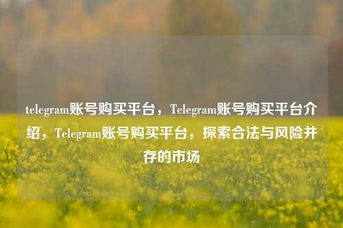 telegram账号购买平台，Telegram账号购买平台介绍，Telegram账号购买平台，探索合法与风险并存的市场