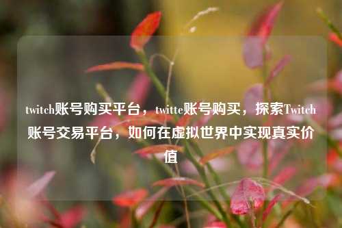 twitch账号购买平台，twitte账号购买，探索Twitch账号交易平台，如何在虚拟世界中实现真实价值