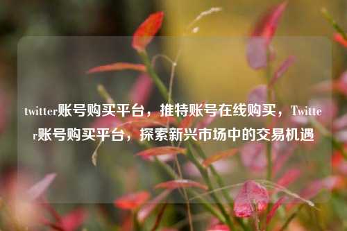 twitter账号购买平台，推特账号在线购买，Twitter账号购买平台，探索新兴市场中的交易机遇