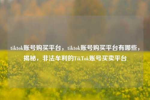 tiktok账号购买平台，tiktok账号购买平台有哪些，揭秘，非法牟利的TikTok账号买卖平台