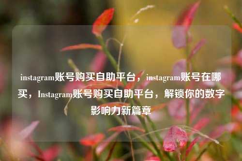 instagram账号购买自助平台，instagram账号在哪买，Instagram账号购买自助平台，解锁你的数字影响力新篇章