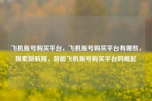飞机账号购买平台，飞机账号购买平台有哪些，探索新航程，智能飞机账号购买平台的崛起
