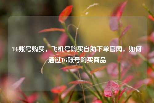 TG账号购买，飞机号购买自助下单官网，如何通过TG账号购买商品