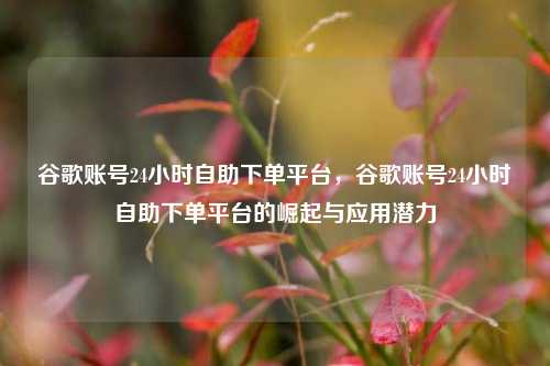 谷歌账号24小时自助下单平台，谷歌账号24小时自助下单平台的崛起与应用潜力
