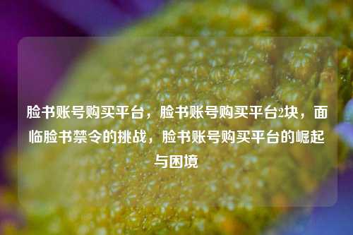 脸书账号购买平台，脸书账号购买平台2块，面临脸书禁令的挑战，脸书账号购买平台的崛起与困境