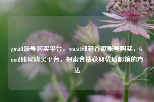 gmail账号购买平台，gmail邮箱谷歌账号购买，Gmail账号购买平台，探索合法获取优质邮箱的方法
