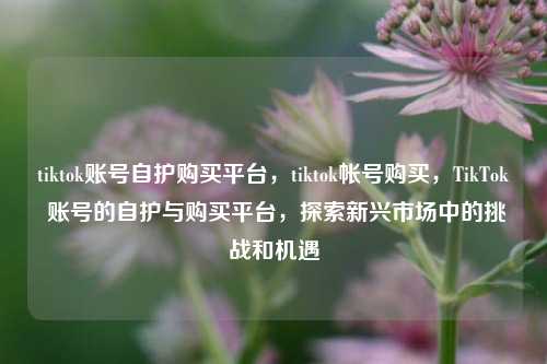 tiktok账号自护购买平台，tiktok帐号购买，TikTok 账号的自护与购买平台，探索新兴市场中的挑战和机遇