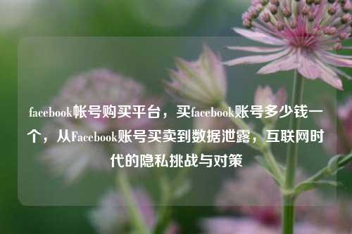 facebook帐号购买平台，买facebook账号多少钱一个，从Facebook账号买卖到数据泄露，互联网时代的隐私挑战与对策