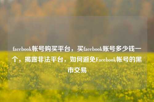 facebook帐号购买平台，买facebook账号多少钱一个，揭露非法平台，如何避免Facebook帐号的黑市交易