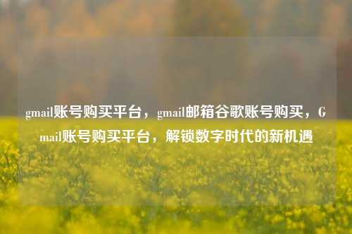 gmail账号购买平台，gmail邮箱谷歌账号购买，Gmail账号购买平台，解锁数字时代的新机遇