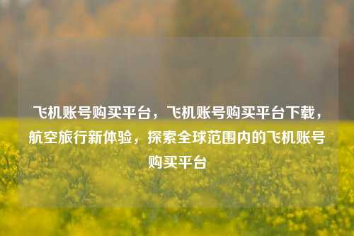 飞机账号购买平台，飞机账号购买平台下载，航空旅行新体验，探索全球范围内的飞机账号购买平台