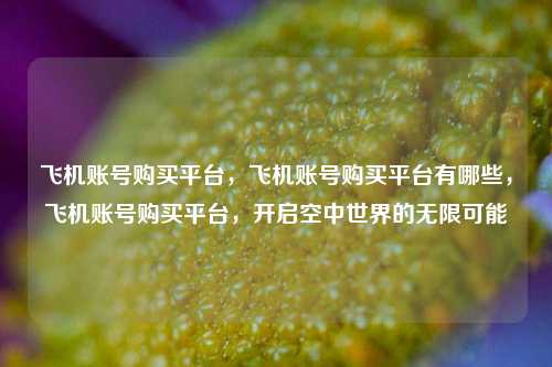 飞机账号购买平台，飞机账号购买平台有哪些，飞机账号购买平台，开启空中世界的无限可能