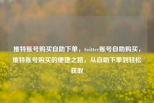 推特账号购买自助下单，twitter账号自助购买，推特账号购买的便捷之路，从自助下单到轻松获取