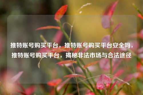 推特账号购买平台，推特账号购买平台安全吗，推特账号购买平台，揭秘非法市场与合法途径