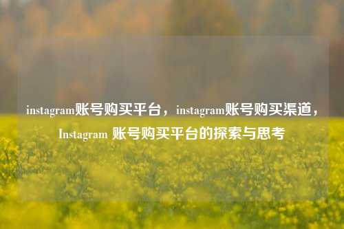 instagram账号购买平台，instagram账号购买渠道，Instagram 账号购买平台的探索与思考