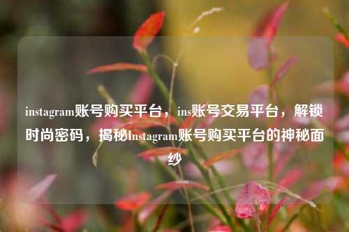 instagram账号购买平台，ins账号交易平台，解锁时尚密码	，揭秘Instagram账号购买平台的神秘面纱  第1张