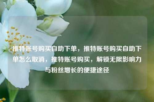 推特账号购买自助下单，推特账号购买自助下单怎么取消，推特账号购买，解锁无限影响力与粉丝增长的便捷途径