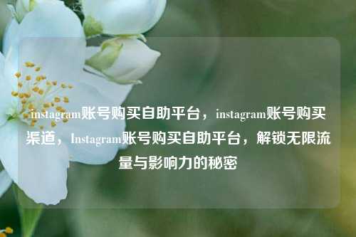 instagram账号购买自助平台，instagram账号购买渠道，Instagram账号购买自助平台，解锁无限流量与影响力的秘密