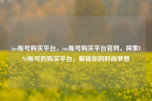 ins账号购买平台，ins账号购买平台官网，探索INS账号的购买平台，解锁你的时尚梦想
