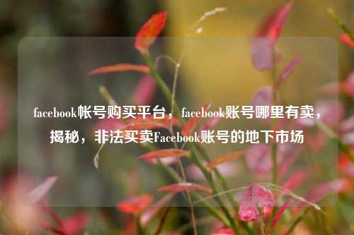 facebook帐号购买平台，facebook账号哪里有卖，揭秘，非法买卖Facebook账号的地下市场