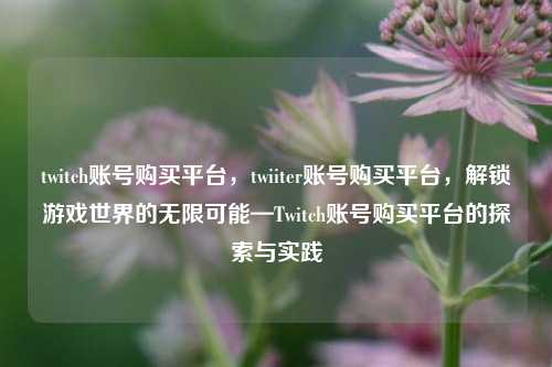 twitch账号购买平台，twiiter账号购买平台，解锁游戏世界的无限可能—Twitch账号购买平台的探索与实践