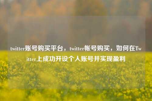 twitter账号购买平台，twitter帐号购买，如何在Twitter上成功开设个人账号并实现盈利