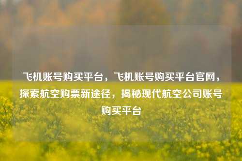 飞机账号购买平台，飞机账号购买平台官网，探索航空购票新途径，揭秘现代航空公司账号购买平台