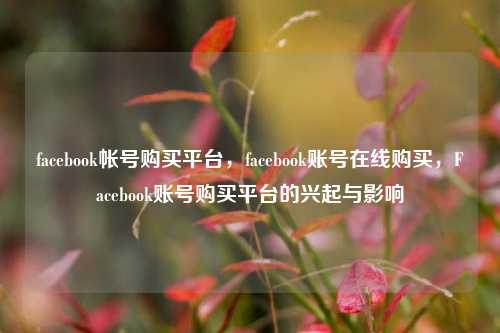facebook帐号购买平台，facebook账号在线购买，Facebook账号购买平台的兴起与影响