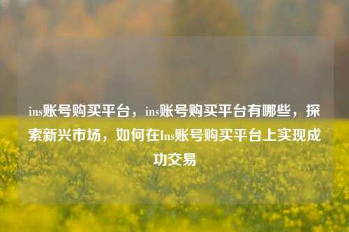 ins账号购买平台，ins账号购买平台有哪些，探索新兴市场，如何在Ins账号购买平台上实现成功交易
