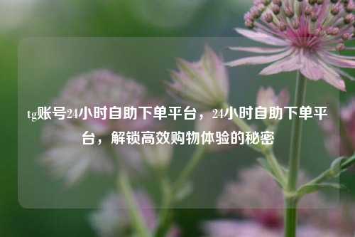 tg账号24小时自助下单平台，24小时自助下单平台，解锁高效购物体验的秘密