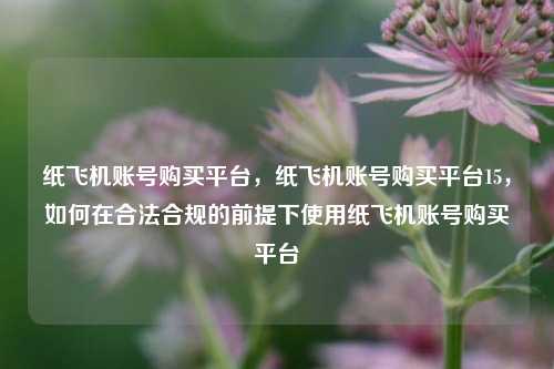 纸飞机账号购买平台，纸飞机账号购买平台15，如何在合法合规的前提下使用纸飞机账号购买平台
