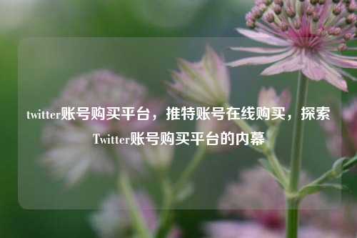 twitter账号购买平台，推特账号在线购买，探索Twitter账号购买平台的内幕