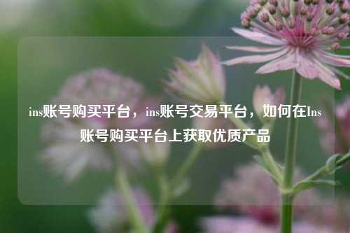 ins账号购买平台，ins账号交易平台，如何在Ins账号购买平台上获取优质产品