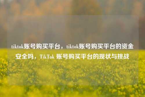 tiktok账号购买平台，tiktok账号购买平台的资金安全吗，TikTok 账号购买平台的现状与挑战