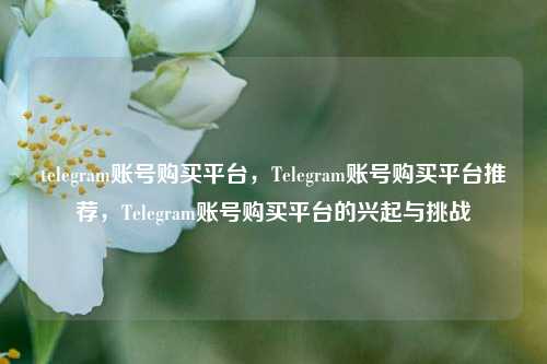 telegram账号购买平台	，Telegram账号购买平台推荐，Telegram账号购买平台的兴起与挑战  第1张
