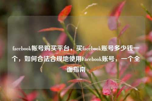 facebook帐号购买平台，买facebook账号多少钱一个，如何合法合规地使用Facebook账号，一个全面指南