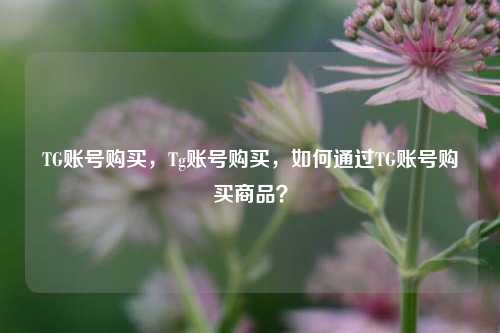 TG账号购买，Tg账号购买，如何通过TG账号购买商品？