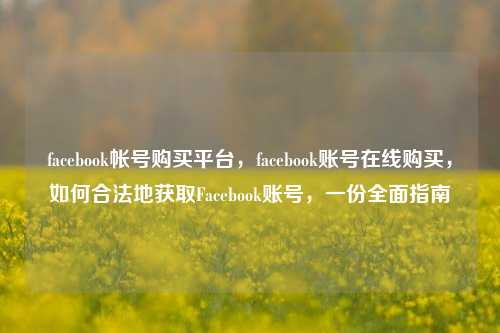 facebook帐号购买平台，facebook账号在线购买，如何合法地获取Facebook账号，一份全面指南