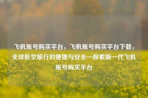 飞机账号购买平台，飞机账号购买平台下载，全球航空旅行的便捷与安全—探索新一代飞机账号购买平台