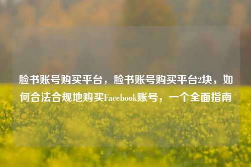 脸书账号购买平台，脸书账号购买平台2块，如何合法合规地购买Facebook账号，一个全面指南