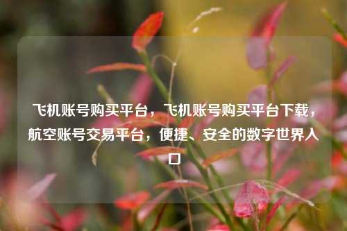 飞机账号购买平台，飞机账号购买平台下载，航空账号交易平台，便捷、安全的数字世界入口