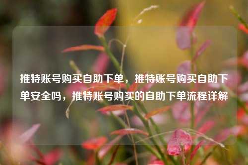 推特账号购买自助下单，推特账号购买自助下单安全吗，推特账号购买的自助下单流程详解