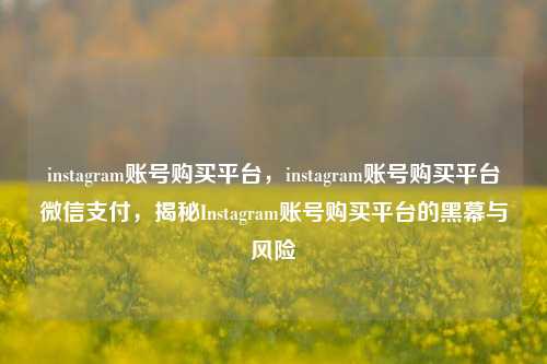 instagram账号购买平台，instagram账号购买平台微信支付，揭秘Instagram账号购买平台的黑幕与风险