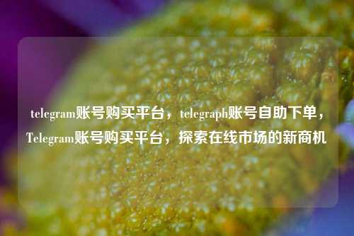 telegram账号购买平台，telegraph账号自助下单，Telegram账号购买平台，探索在线市场的新商机
