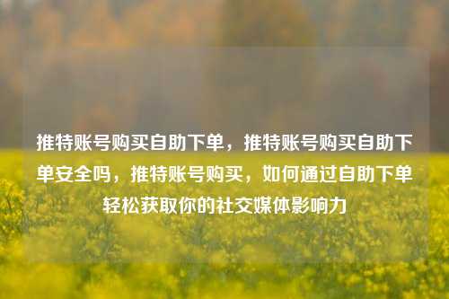 推特账号购买自助下单，推特账号购买自助下单安全吗，推特账号购买，如何通过自助下单轻松获取你的社交媒体影响力