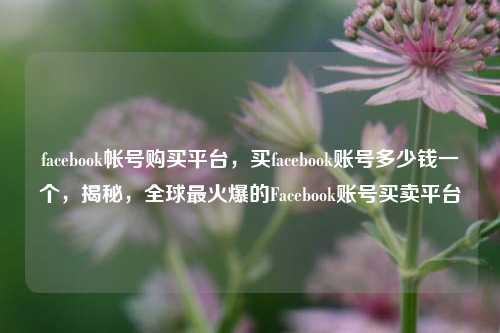 facebook帐号购买平台，买facebook账号多少钱一个，揭秘，全球最火爆的Facebook账号买卖平台