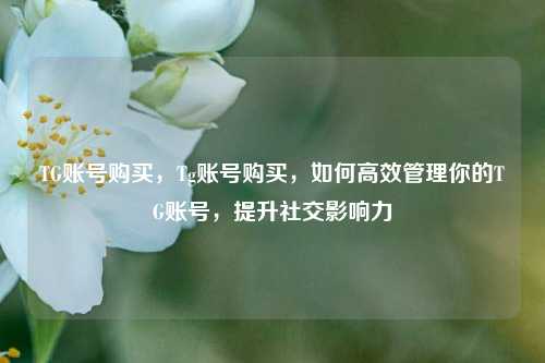 TG账号购买，Tg账号购买，如何高效管理你的TG账号，提升社交影响力