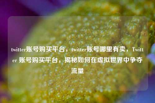 twitter账号购买平台，twitter账号哪里有卖，Twitter 账号购买平台，揭秘如何在虚拟世界中争夺流量