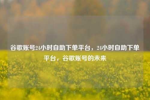 谷歌账号24小时自助下单平台，24小时自助下单平台，谷歌账号的未来